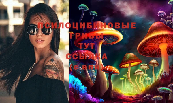 наркотики Бородино