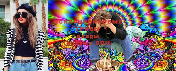 наркотики Бородино
