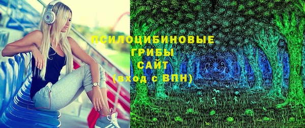 ГАЛЛЮЦИНОГЕННЫЕ ГРИБЫ Верхний Тагил