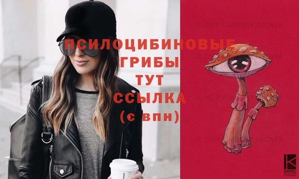 ешки Богданович