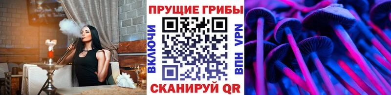 Галлюциногенные грибы Magic Shrooms  Дубовка 